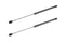 Chevy Caprice PPV Hood Lift Support Struts