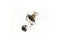 Genuine GM AC Delco Thermostat Housing