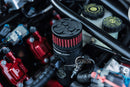 Pontiac GTO Mighty Mouse Catch Can